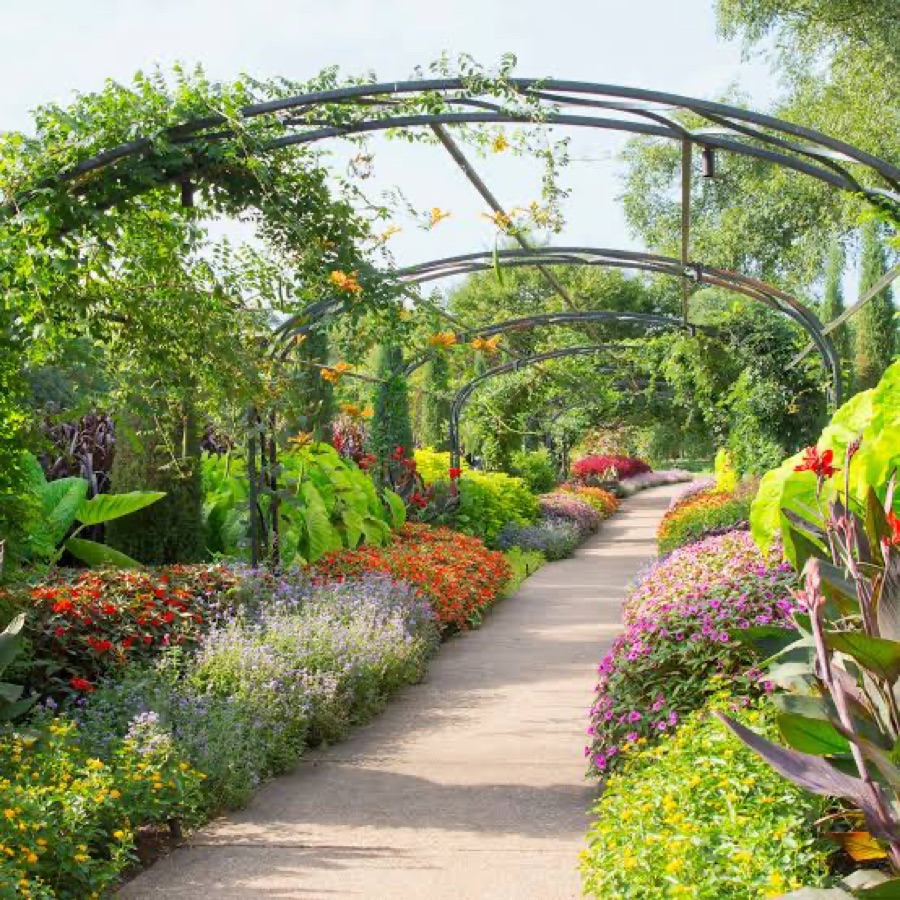 Flower-lined path under garden arbors at Cheekwood Botanical Gardens